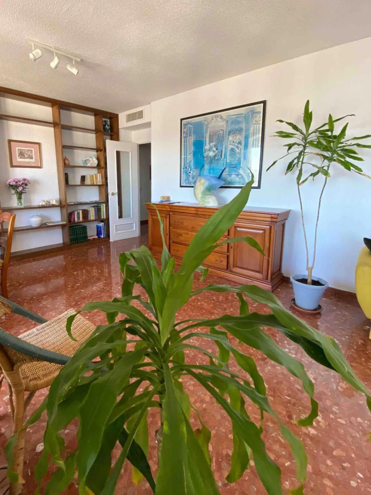 Nice Central Flat With Wonderful Views قرطبة المظهر الخارجي الصورة