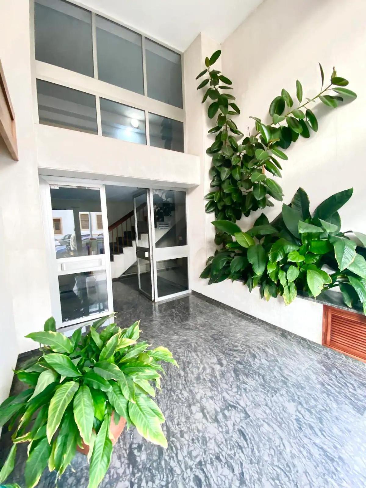 Nice Central Flat With Wonderful Views قرطبة المظهر الخارجي الصورة